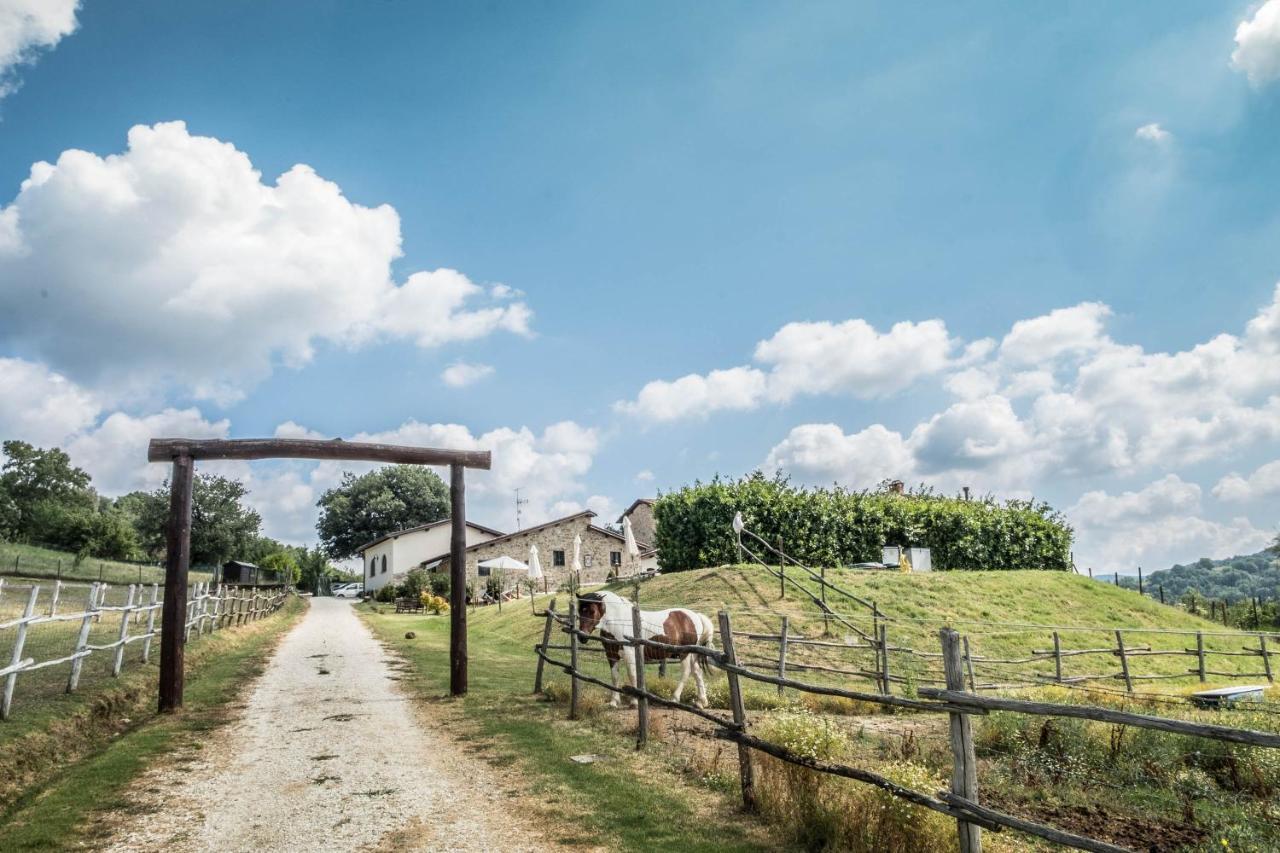 Agriturismo Goccia Di Luna Umbertide Bagian luar foto