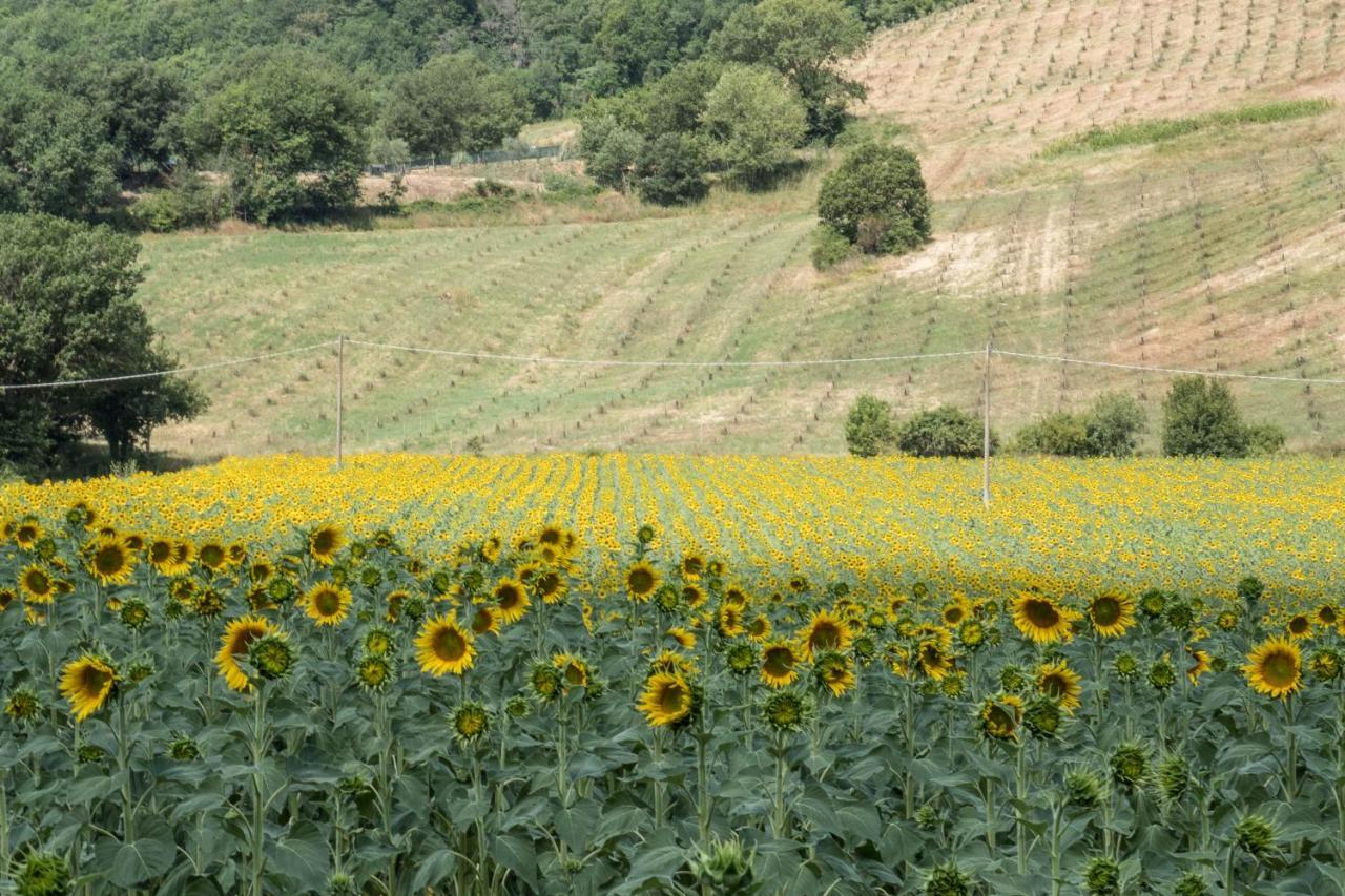 Agriturismo Goccia Di Luna Umbertide Bagian luar foto