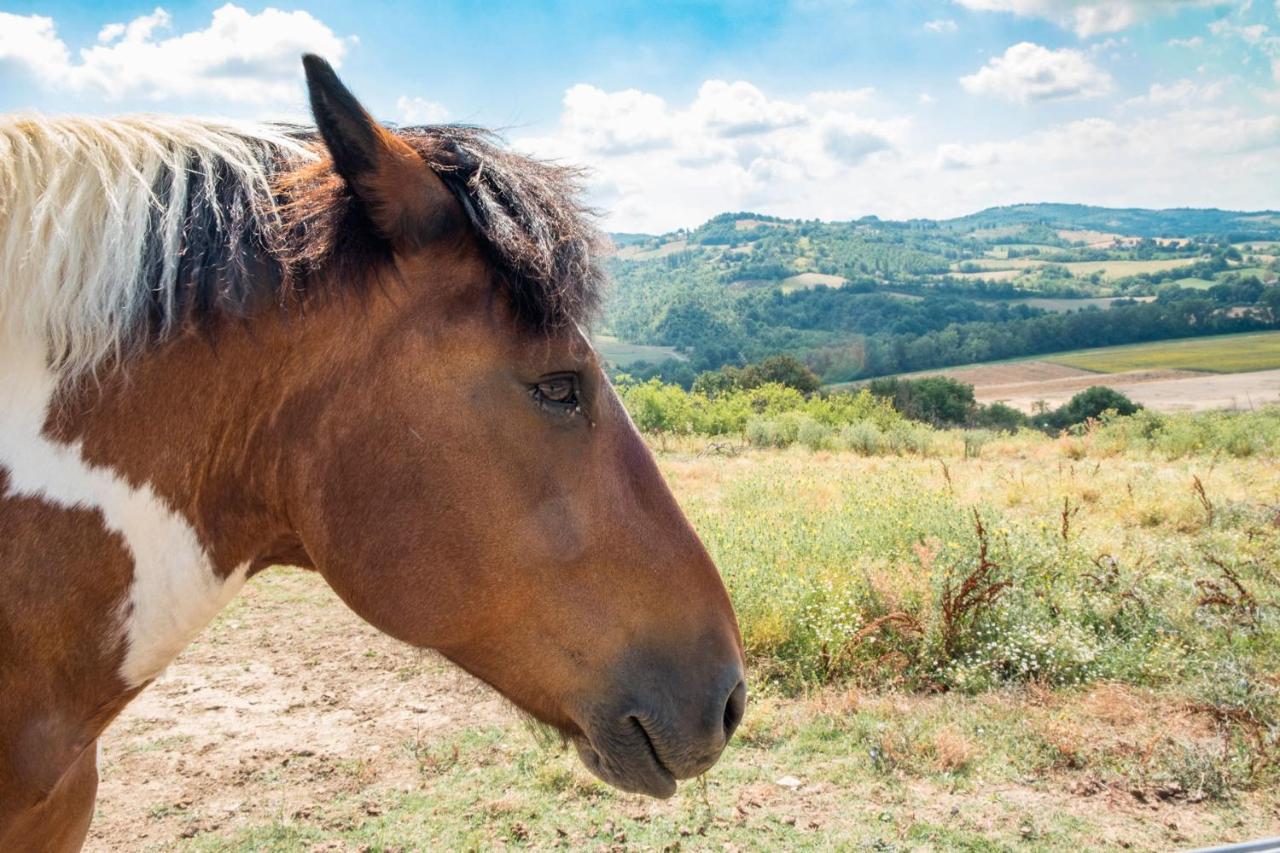 Agriturismo Goccia Di Luna Umbertide Bagian luar foto