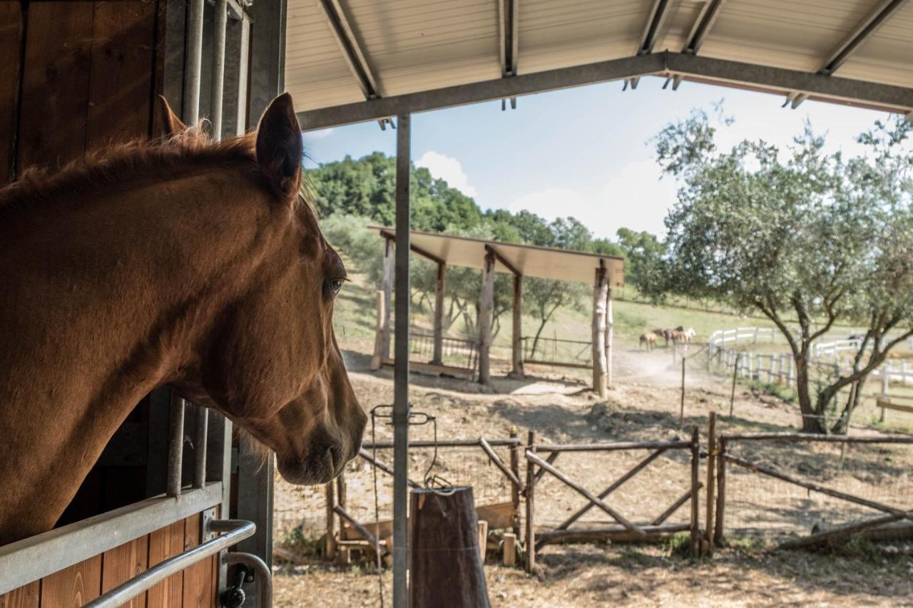 Agriturismo Goccia Di Luna Umbertide Bagian luar foto
