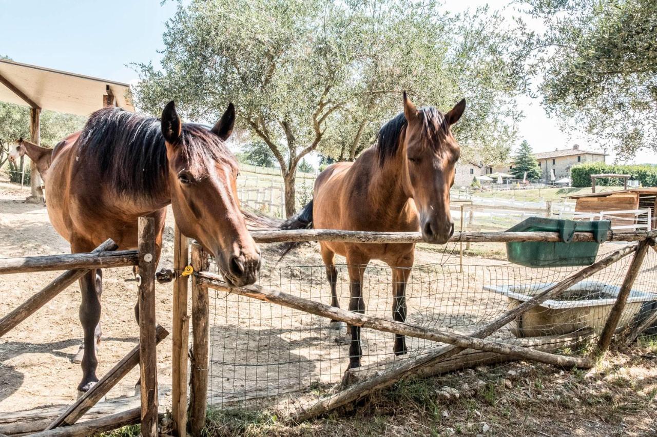 Agriturismo Goccia Di Luna Umbertide Bagian luar foto