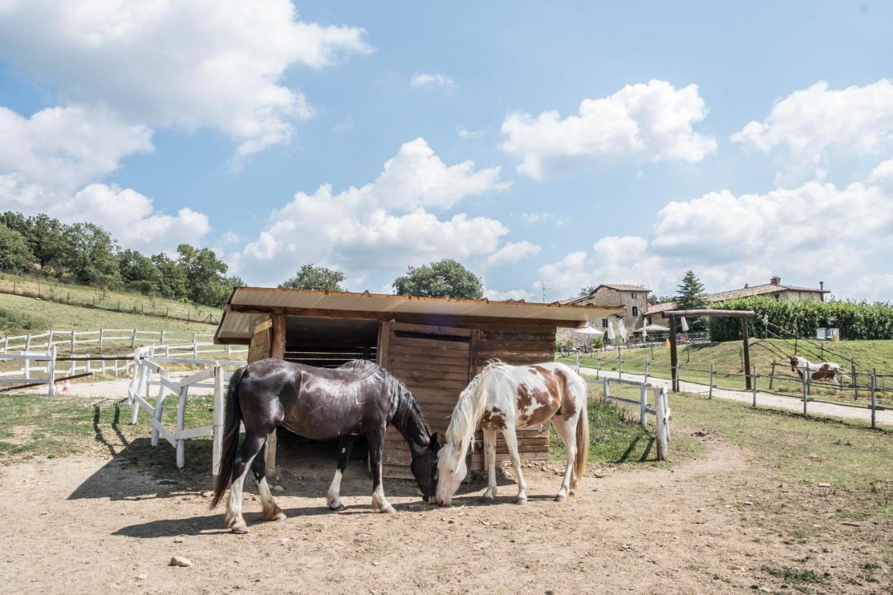 Agriturismo Goccia Di Luna Umbertide Bagian luar foto
